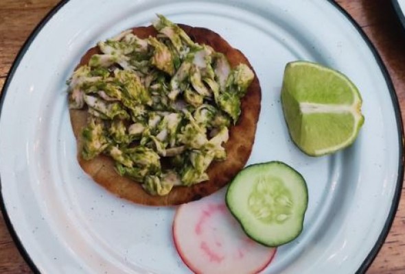 Fish tostada