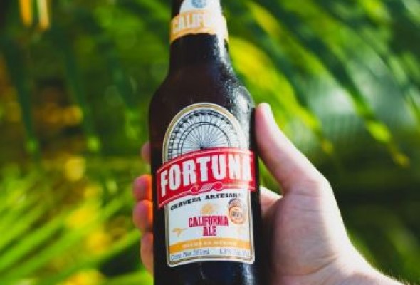Hand made fortuna blonde ale beer
